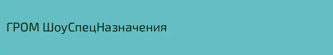 ГРОМ ШоуСпецНазначения